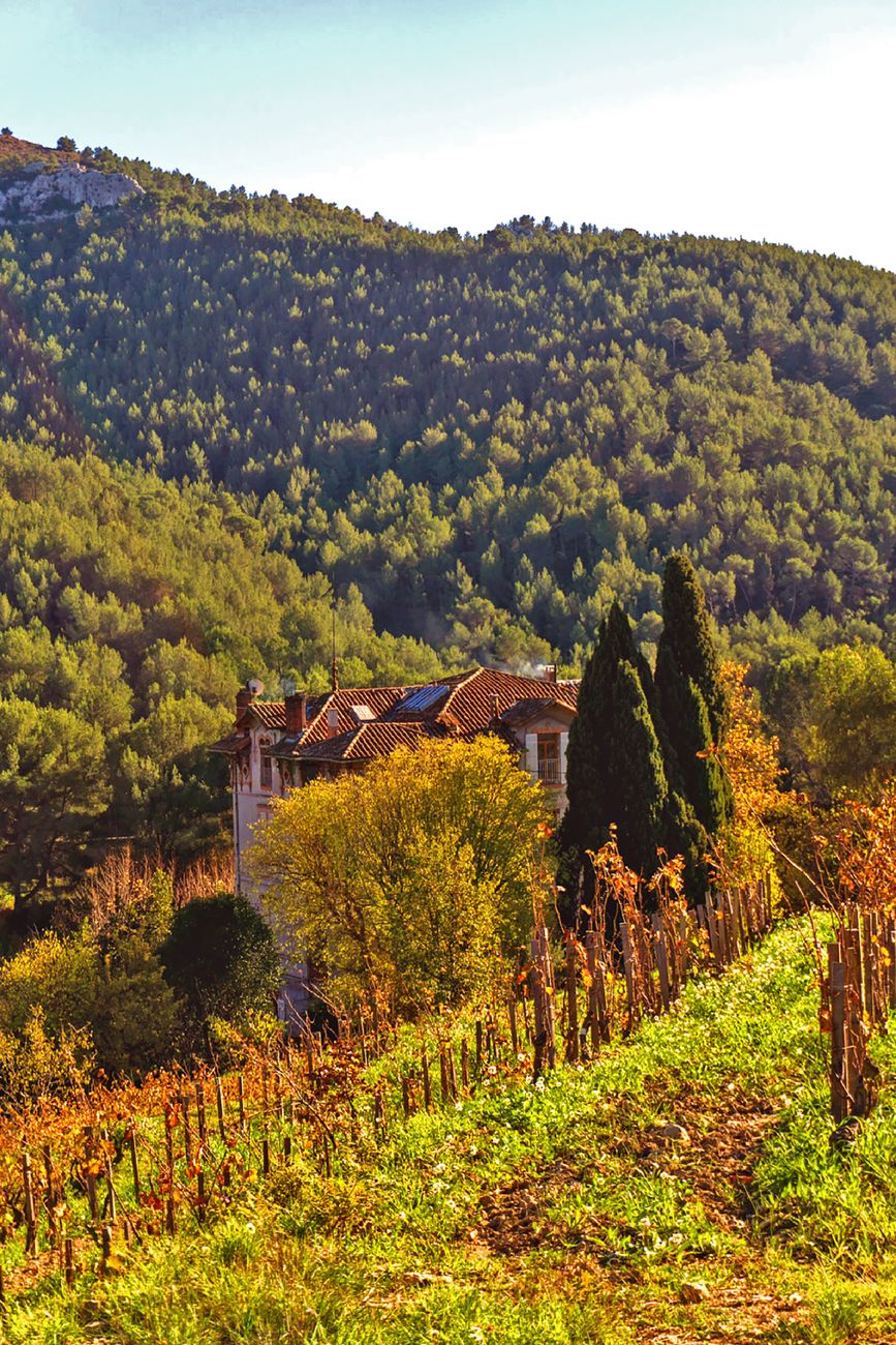 Guide privé dans les vignobles en Provence